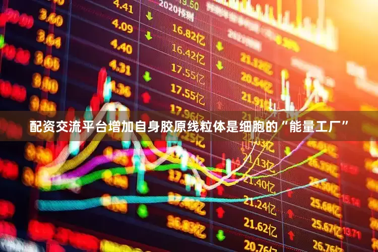 配资交流平台增加自身胶原线粒体是细胞的“能量工厂”