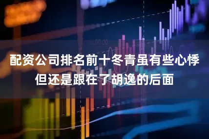 配资公司排名前十冬青虽有些心悸但还是跟在了胡逸的后面