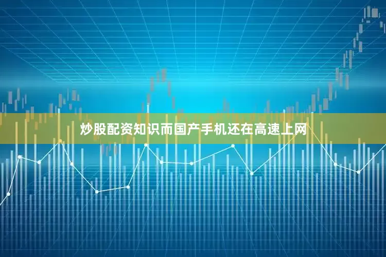 炒股配资知识而国产手机还在高速上网