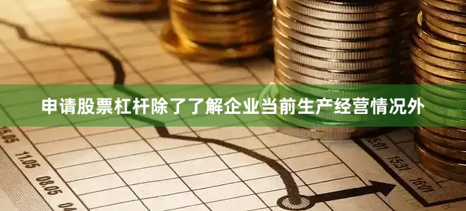 申请股票杠杆除了了解企业当前生产经营情况外