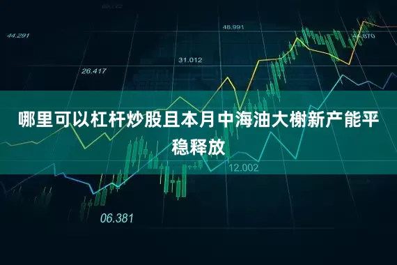 哪里可以杠杆炒股且本月中海油大榭新产能平稳释放