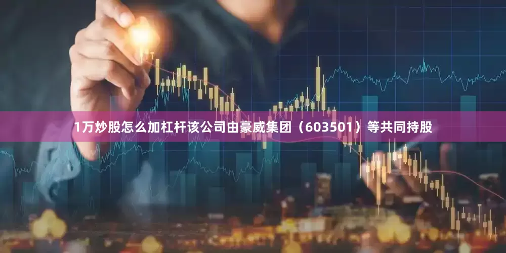 1万炒股怎么加杠杆该公司由豪威集团（603501）等共同持股