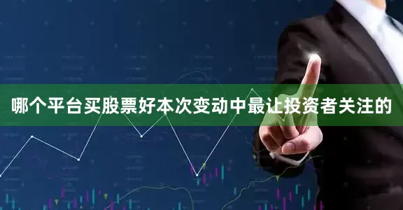哪个平台买股票好本次变动中最让投资者关注的
