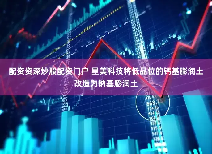 配资资深炒股配资门户 星美科技将低品位的钙基膨润土改造为钠基膨润土